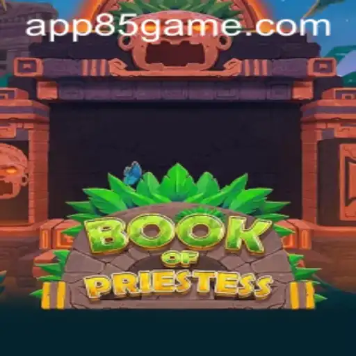 BookOfPriestess: A Magical Journey in the World of 85.Game